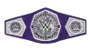 WWE Cruiserweight Championship