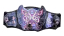 WWE Divas Championship