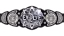 WWE Evolve Championship
