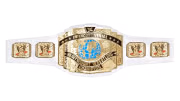 WWE Intercontinental Championship WWE Intercontinental Championship