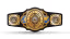 WWE Intercontinental Championship