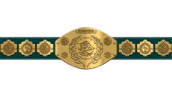 WWF Intercontinental Heavyweight Championship WWF Intercontinental Heavyweight Championship