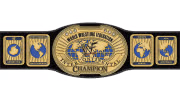 WWF Intercontinental Championship WWF Intercontinental Championship