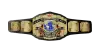 WWF Intercontinental Heavyweight Championship
