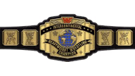 WWF Intercontinental Heavyweight Championship WWF Intercontinental Heavyweight Championship