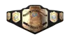 WWF Light Heavyweight Championship