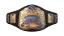 World Tag Team Championship