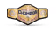 WWE United States Championship