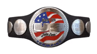 WWE United States Championship (Spinner - John Cena) WWE United States Championship (Spinner - John Cena)