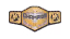 WWE United States Championship