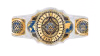 WWE Women's Intercontinental Championship WWE Women's Intercontinental Championship