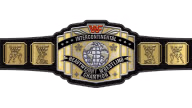 WWF Intercontinental Championship WWF Intercontinental Championship