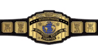 WWF Intercontinental Championship WWF Intercontinental Championship