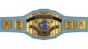 WWF Intercontinental Championship WWF Intercontinental Championship