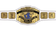 WWF Intercontinental Championship WWF Intercontinental Championship