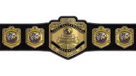 WWF Light Heavyweight Championship