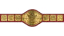World Tag Team Championship