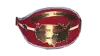 WWWF United States Heavyweight Championship