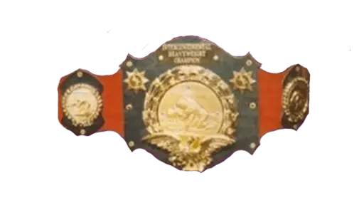 WWE Intercontinental Championship
