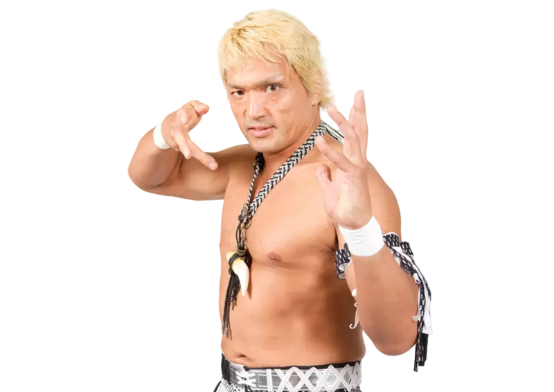 Akira Nogami / AKIRA - Pro Wrestlers Database