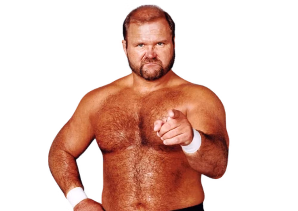 Arn Anderson Arn Anderson