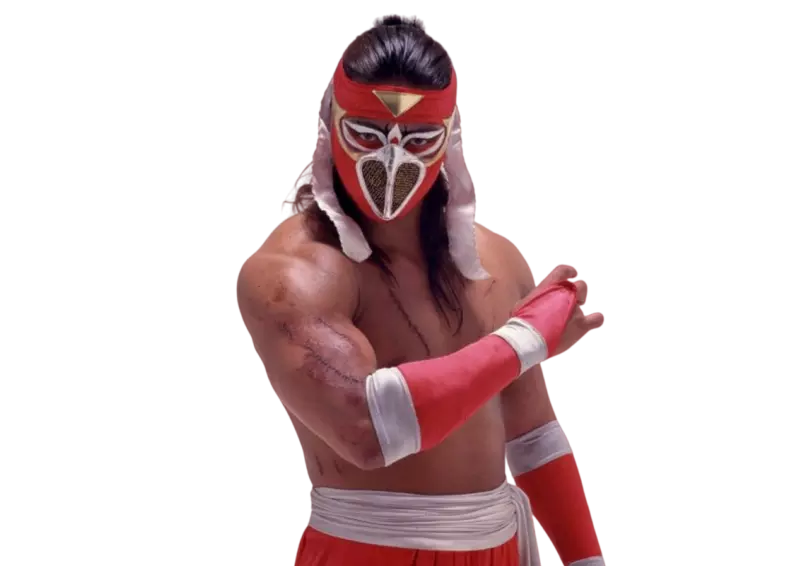 Hayabusa wrestler shop