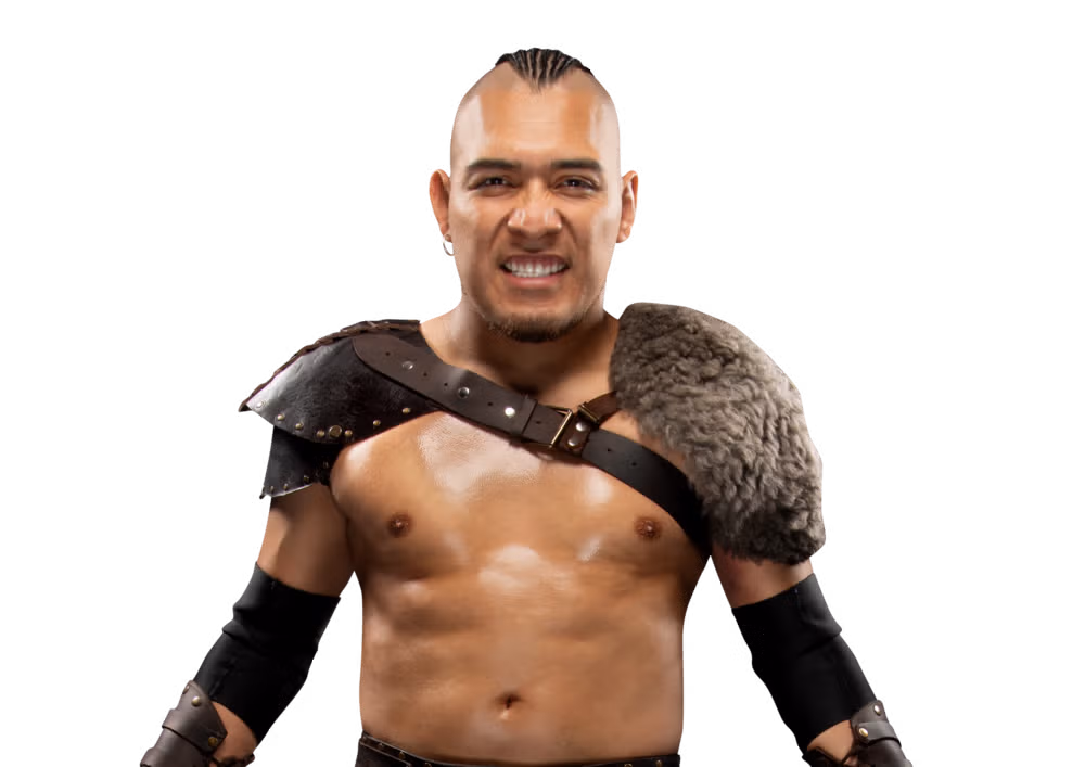 El Hijo del Vikingo