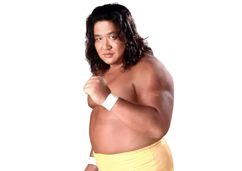 Hiromichi / Kodo / Samson Fuyuki - Pro Wrestlers Database