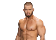 Austin Theory