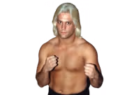 Buddy Landel