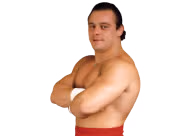 Dynamite Kid