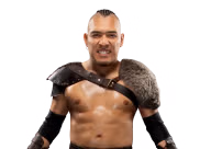 El Hijo del Vikingo