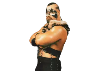 The Barbarian