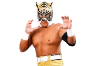 Tiger Mask IV / Yoshihiro Yamazaki