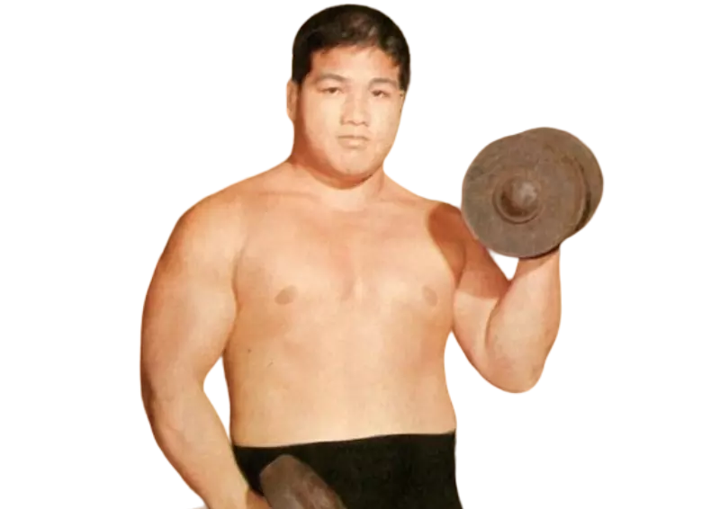 Toyonobori - Pro Wrestlers Database