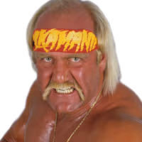 Hulk Hogan Hulk Hogan
