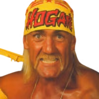 Hulk Hogan Hulk Hogan