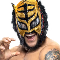 Lince Dorado Lince Dorado