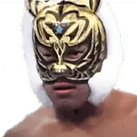 Tiger Mask (III)