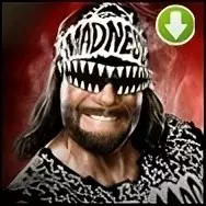 Randy Savage (n.W.o.)