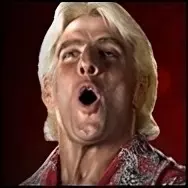 Ricflair retro