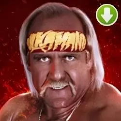 Hulkhogan retro