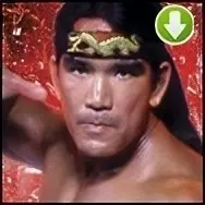 Ricky Steamboat '91