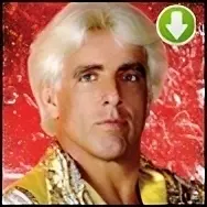 Ricflair retro