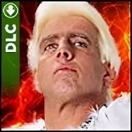 Ric Flair '88