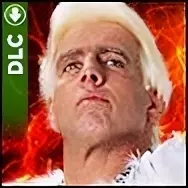 Ric flair 88