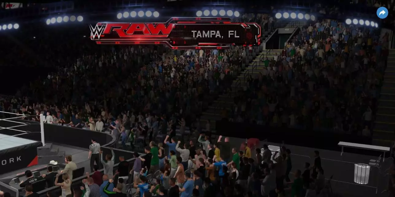 Fighting in the Crowd in WWE 2K17