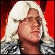 Ric flair 88