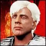 Ric Flair '91