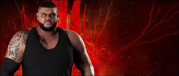 WWE 2K18 Roster Akam The Authors of Pain Superstar Profile